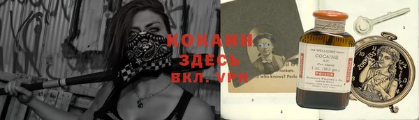 PSILOCYBIN Дмитров