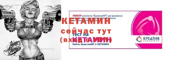прущие грибы Дмитровск
