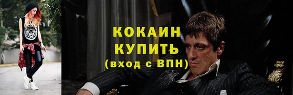 прущие грибы Дмитровск