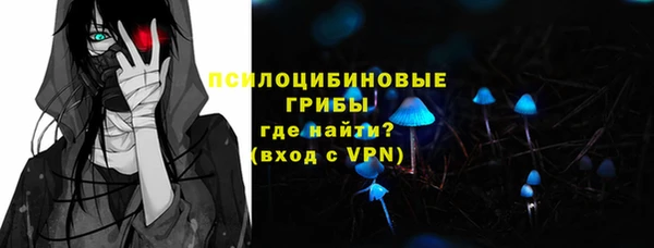 PSILOCYBIN Дмитров