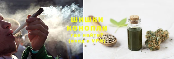 PSILOCYBIN Дмитров
