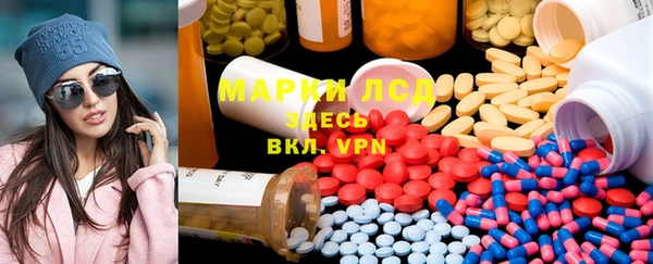 прущие грибы Дмитровск