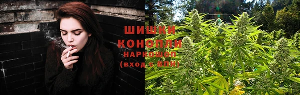 прущие грибы Дмитровск
