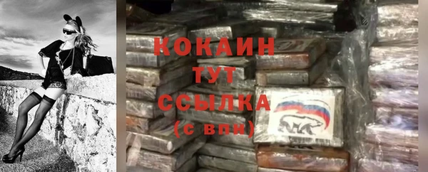 прущие грибы Дмитровск