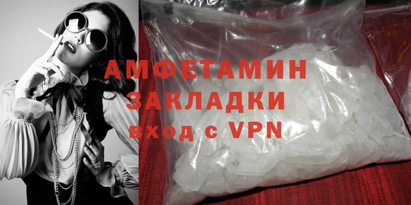 прущие грибы Дмитровск