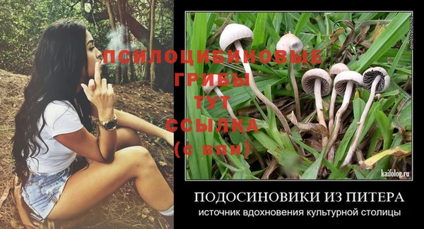 PSILOCYBIN Дмитров