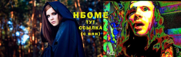 прущие грибы Дмитровск
