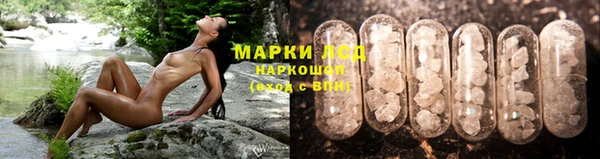 бошки Дмитриев