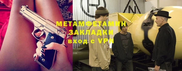 прущие грибы Дмитровск